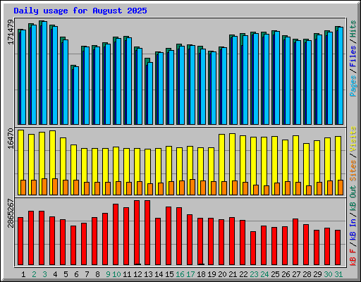 Daily usage for August 2025
