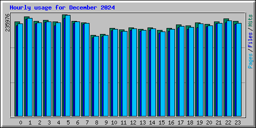 Hourly usage for December 2024